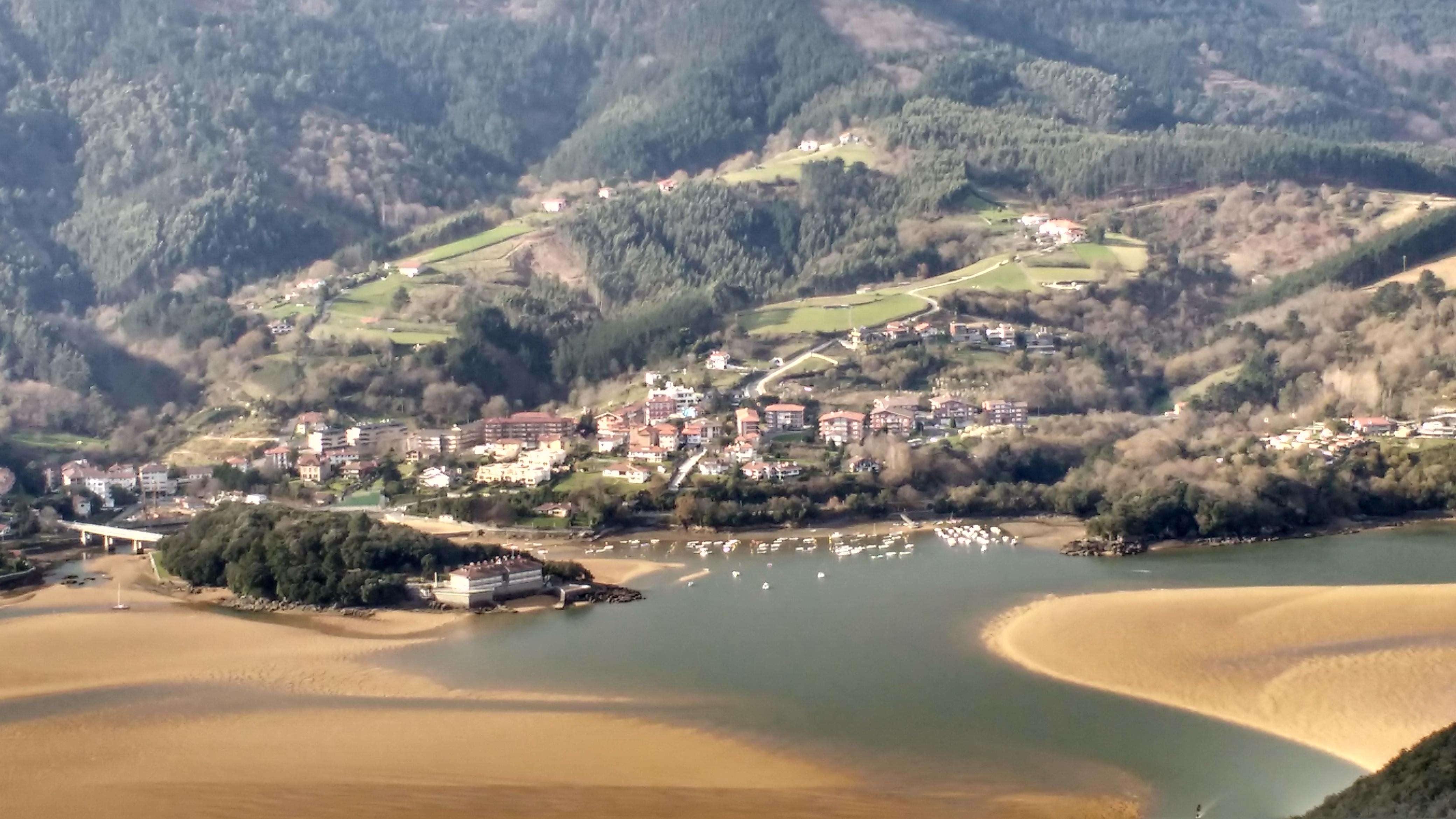 Arboliz