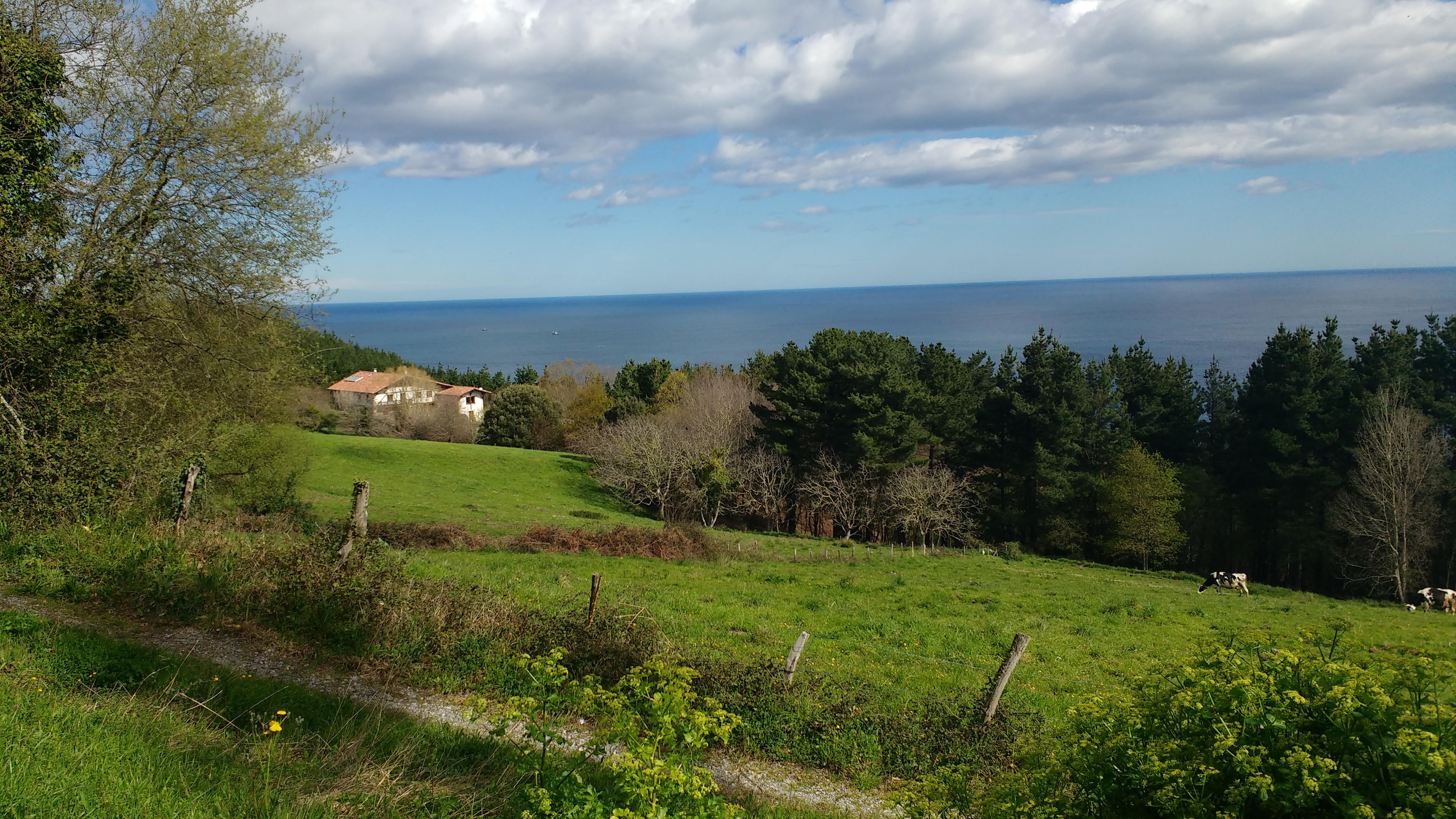 Country house Arboliz Ibarrangelu