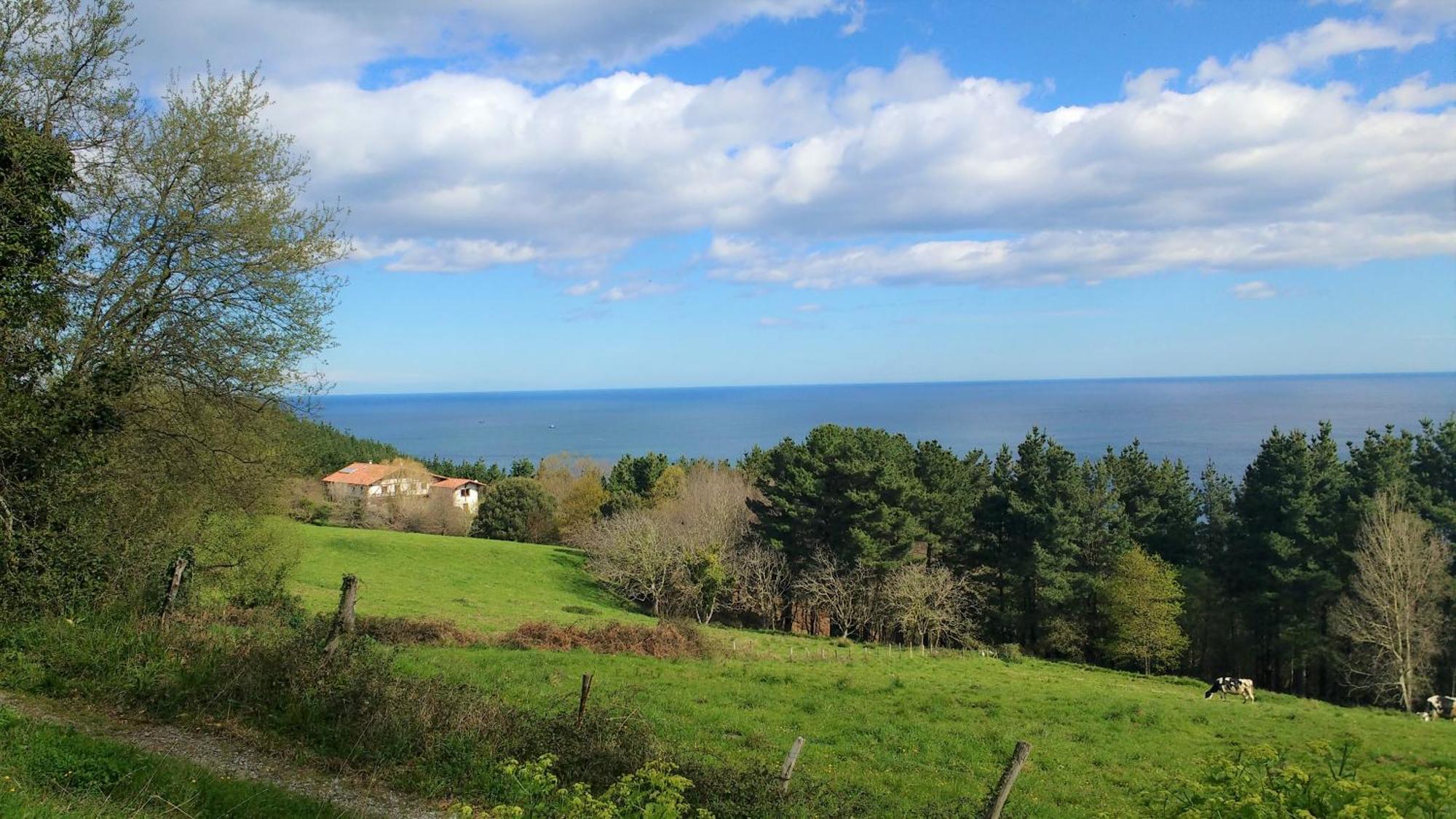 Arboliz Country house